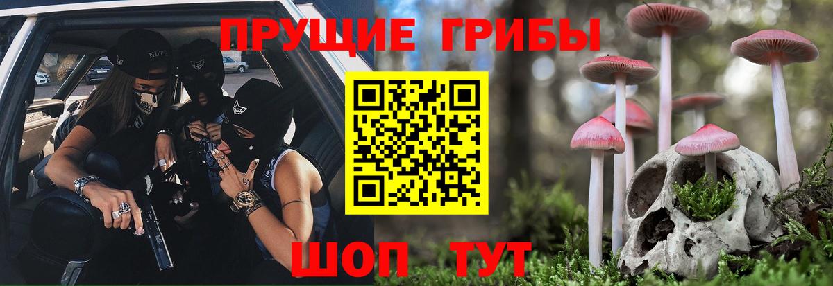где продают наркотики  Псилоцибиновые грибы MAGIC MUSHROOMS  Вход с VPN  Брянск 